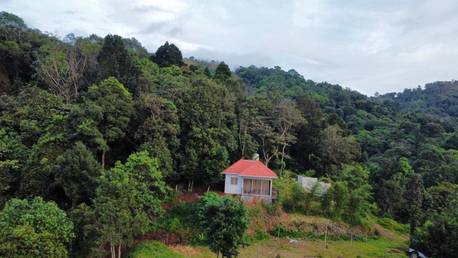 Bed and Breakfast Misty Hideout Kakkadampoyil Экстерьер фото