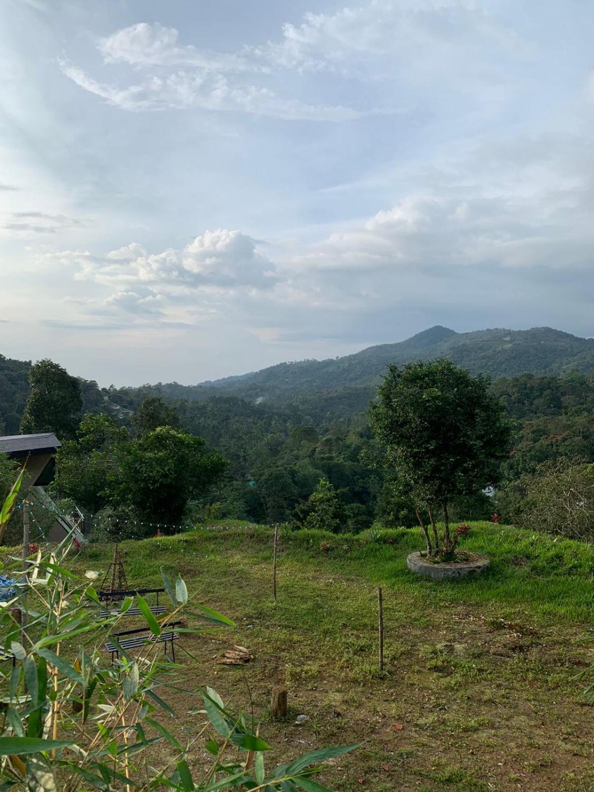 Bed and Breakfast Misty Hideout Kakkadampoyil Экстерьер фото